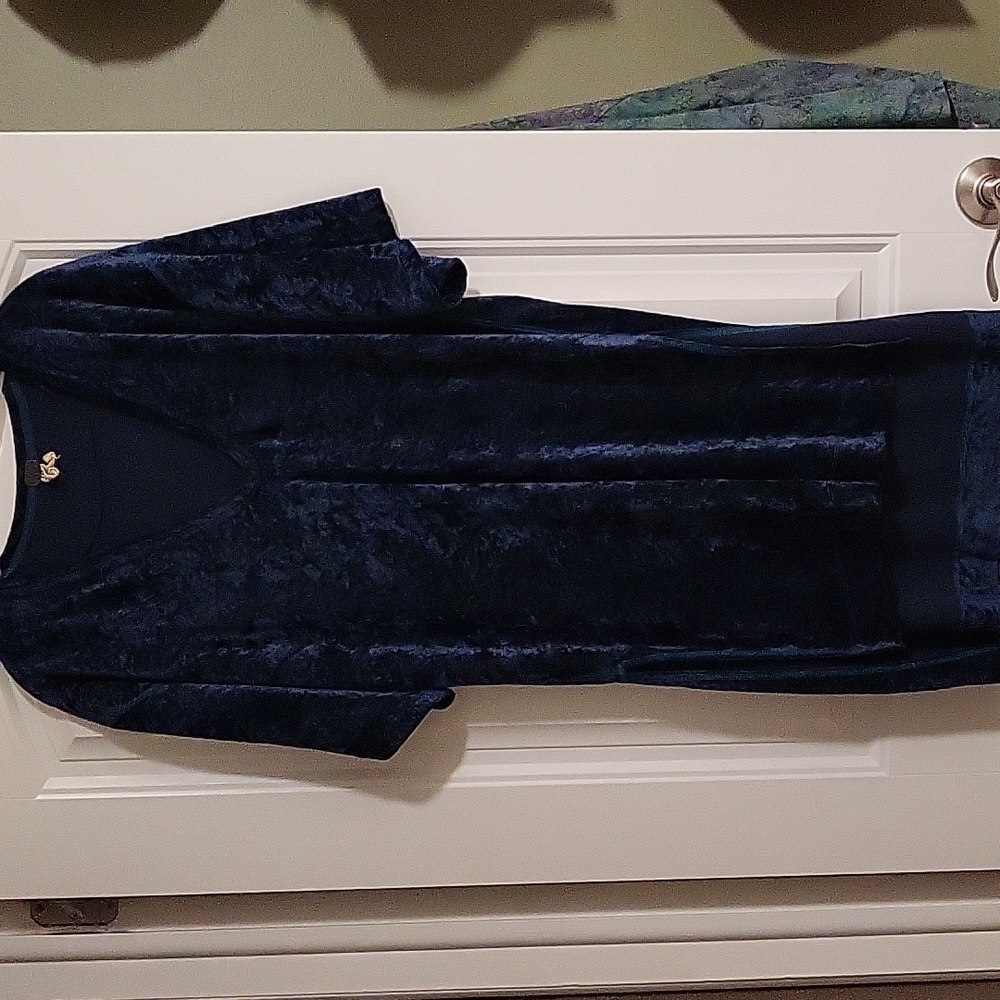 We the Free crushed velvet tunic